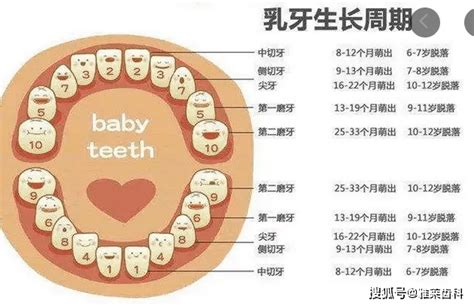 小朋友出大牙|儿童换牙，爸妈应该知道的九件事